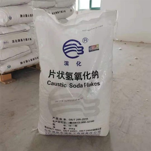 濱化片狀氫氧化鈉